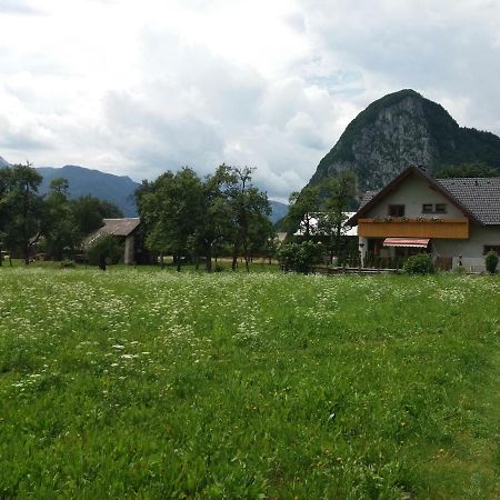 Apartmaji Bremec Bohinj Εξωτερικό φωτογραφία
