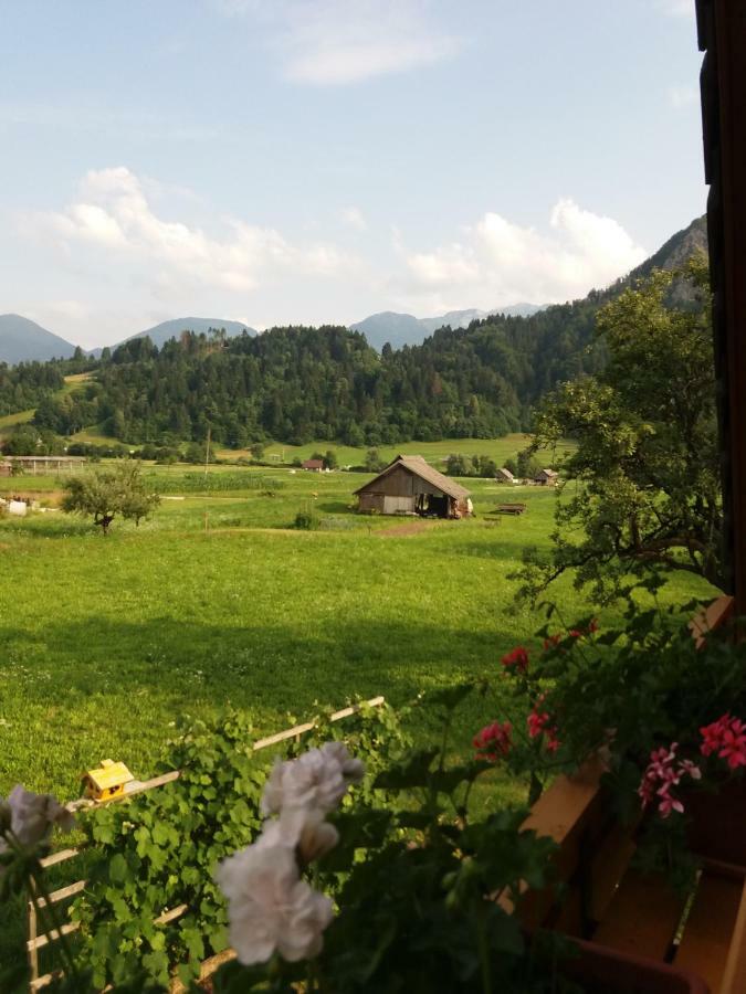 Apartmaji Bremec Bohinj Εξωτερικό φωτογραφία